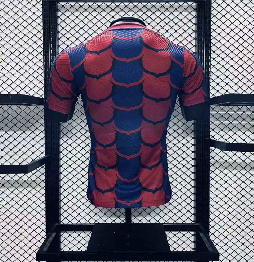 FC Barcelone Maillot Concept 2024/2025